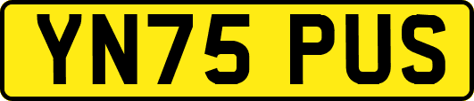 YN75PUS
