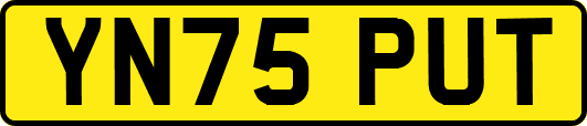 YN75PUT