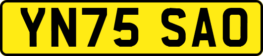 YN75SAO