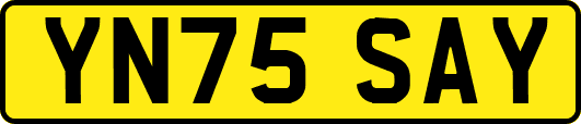 YN75SAY