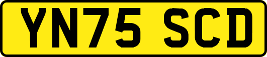 YN75SCD
