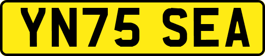 YN75SEA