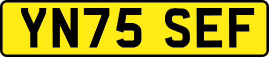YN75SEF