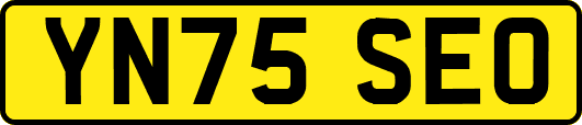 YN75SEO