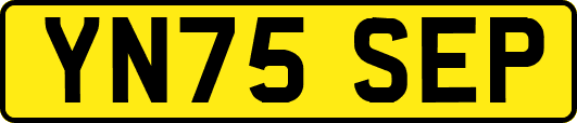 YN75SEP