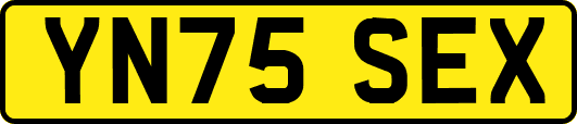 YN75SEX