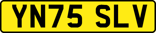 YN75SLV
