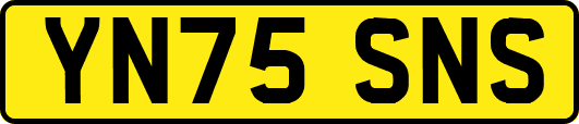 YN75SNS