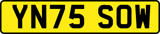 YN75SOW