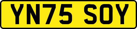 YN75SOY