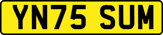 YN75SUM