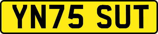 YN75SUT