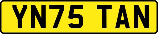 YN75TAN