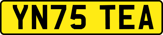 YN75TEA