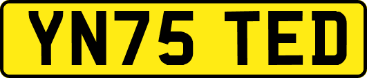 YN75TED