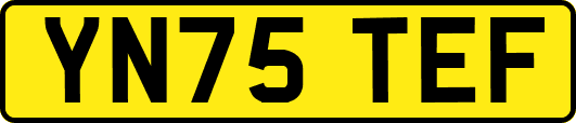 YN75TEF