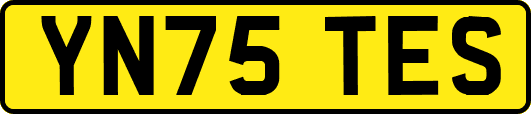 YN75TES