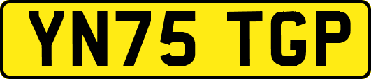 YN75TGP
