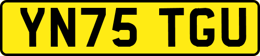 YN75TGU