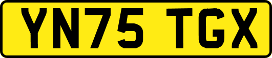 YN75TGX