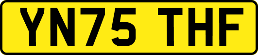 YN75THF
