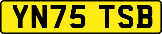 YN75TSB