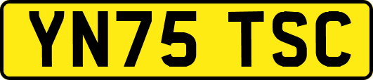 YN75TSC
