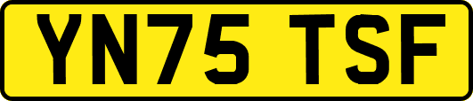 YN75TSF