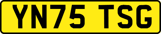 YN75TSG