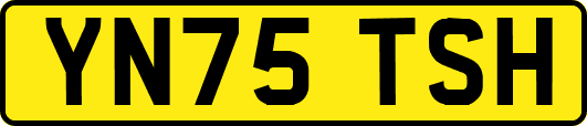 YN75TSH