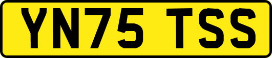 YN75TSS
