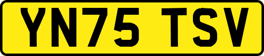 YN75TSV