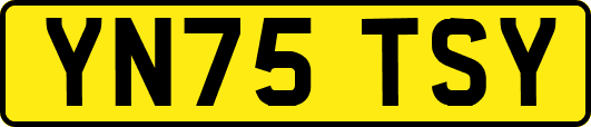 YN75TSY