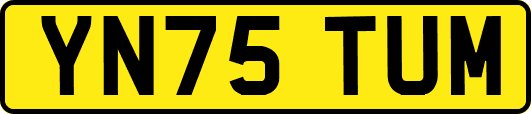 YN75TUM