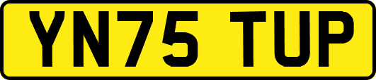 YN75TUP