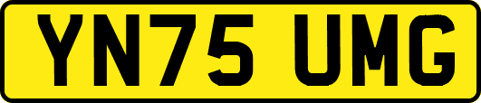 YN75UMG