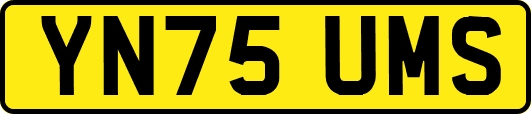 YN75UMS