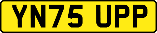 YN75UPP
