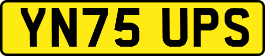 YN75UPS