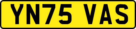 YN75VAS