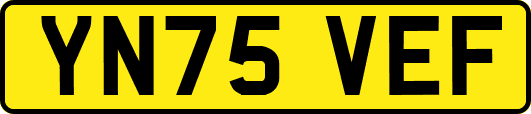 YN75VEF