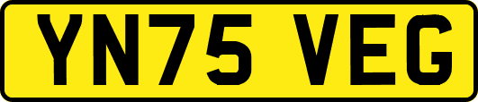 YN75VEG
