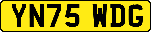 YN75WDG