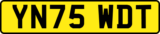 YN75WDT
