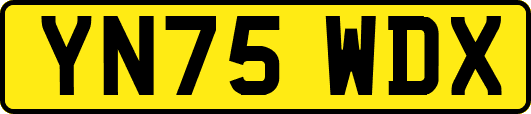 YN75WDX
