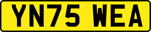 YN75WEA