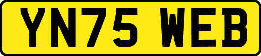 YN75WEB