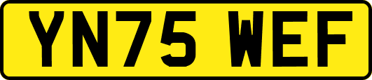 YN75WEF