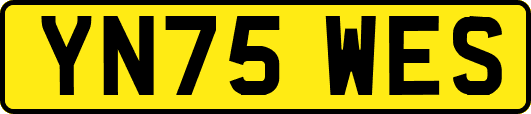 YN75WES