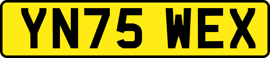 YN75WEX